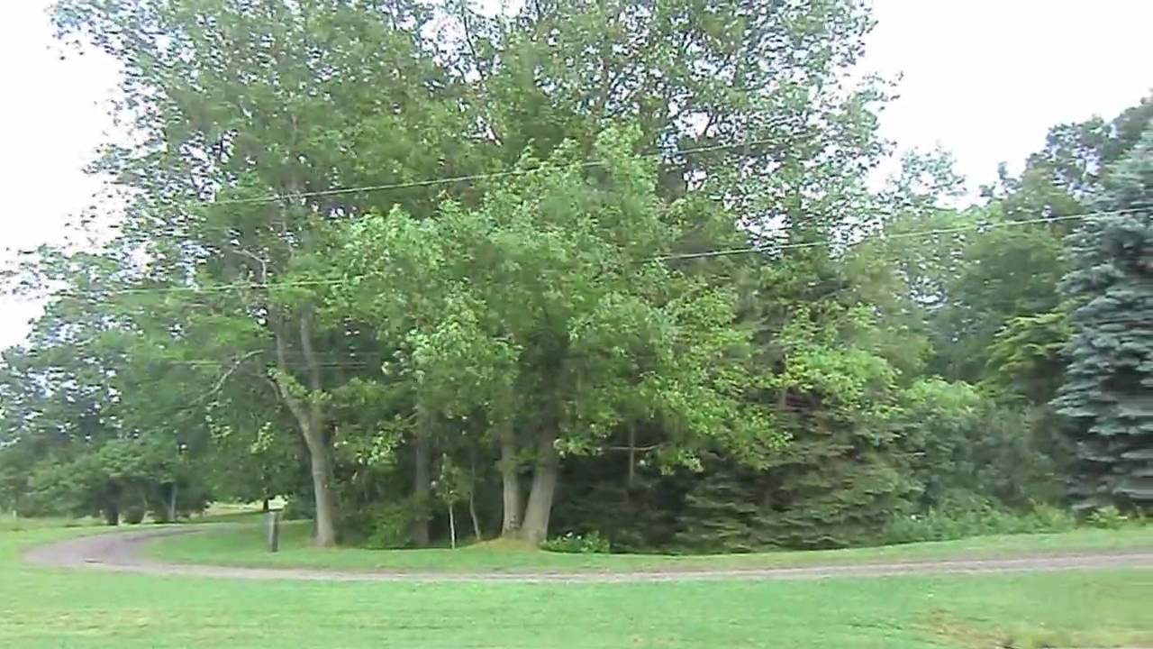 casio ex z2000 outdoor video test