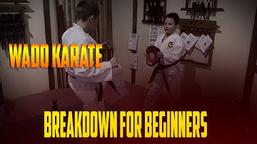 Pinan Yondan || Wado Karate Pinan Yodan || Kata Pinan Yondan - Breakdown for Beginners