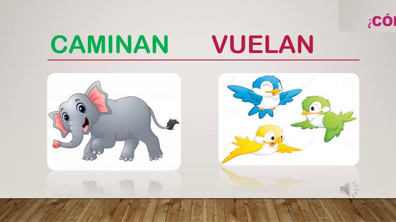 Los animales y el lugar donde viven - YouTube
