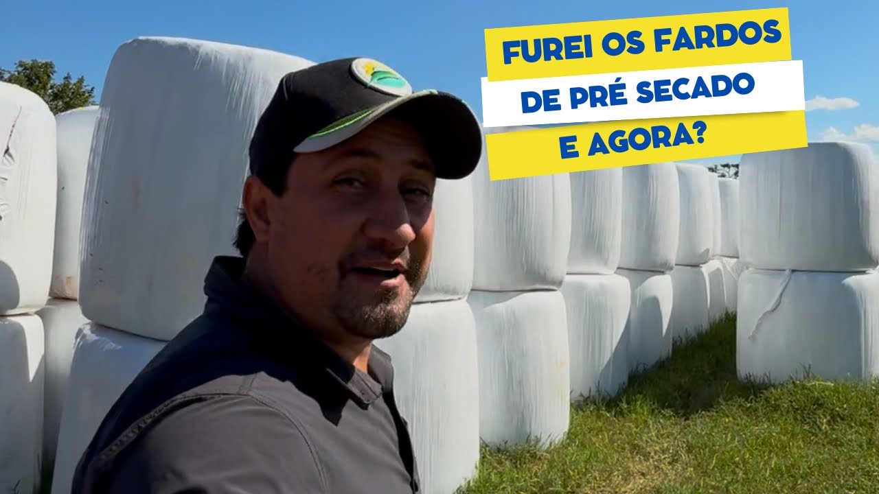 furei-os-fardos-de-pre-secado-na-correria-da-fazenda-youtube