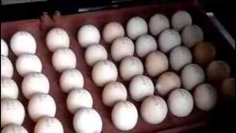 Videojet Inkjet Coder