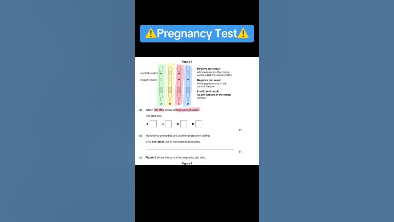 Monoclonal Antibodies Covid Pregnancy