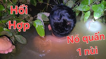 Thả câu thác lác cườm. Cá lôi cứng dây quấn lùm  liên tục | Săn bắt SÓC TRĂNG |