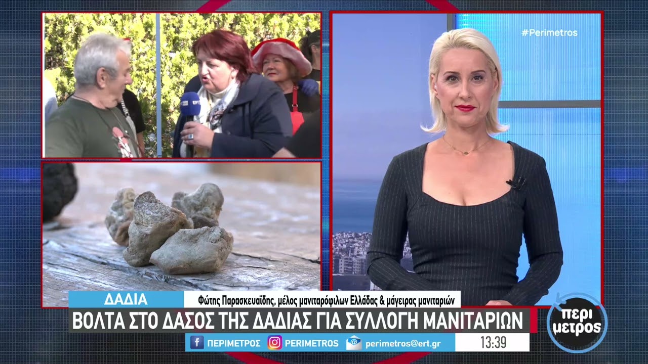 Γιορτή μανιταριών στη Δαδιά: Δωρεάν μύηση στον μυστηριώδη κόσμου του γευστικού μύκητα | ΕΡΤ