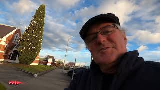 Corella Christmas Tree by GoJo DIY & Vlogs 447 views 2 years ago 1 minute, 8 seconds