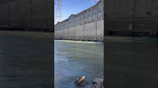McAlpine Dam Hydro Wall Louisville, Ky #ohioriver #louisville #shorts