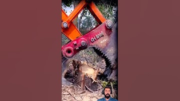 How to remove roots of trees using a heavy machine #youtubeshorts #trending #viralshorts #shortfeed