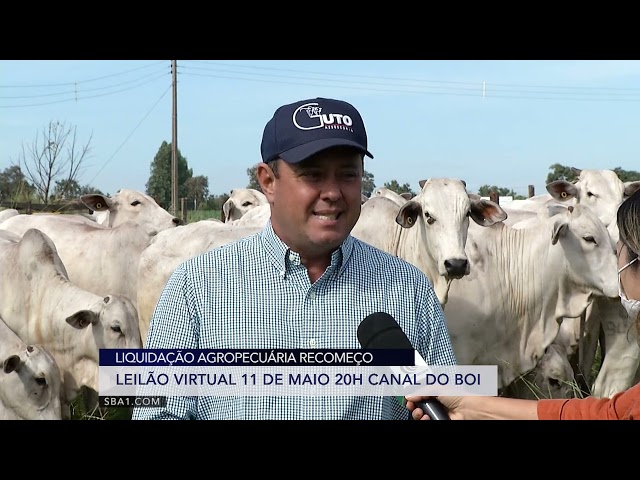 GRANDES CRIATÓRIOS RECOMEÇO NELORE 11 de maio de 2021