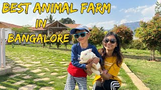 Picket Fence The Family Farm | Best pet animal farm in Bangalore