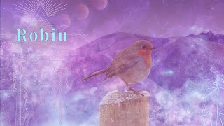 Celebrity ROBIN Spiritual Meaning 🌈✨ RED ROBIN SYMBOLISM & WHAT HE MEANS? 🌟  🐦 |COLLAB WITH @Auntyflo Net Worth