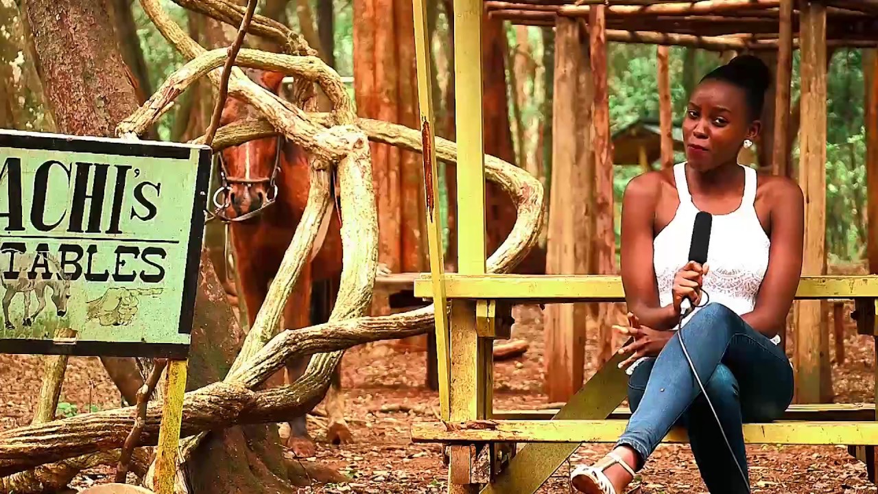 Achis Ranch horse riding school - YouTube