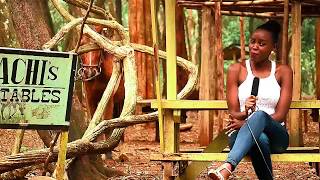 Achis Ranch Horse Riding School