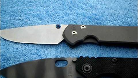 Strider SNG & Chris Reeve Sebenza.......a comparison.