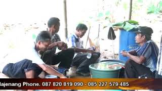 20 ayah gending asih live parigi boja majenang, 13   12   2018