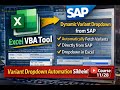 Excel VBA SAP Automation | Dynamic Variant Dropdown from SAP (Hindi-Urdu) | Course 11/28