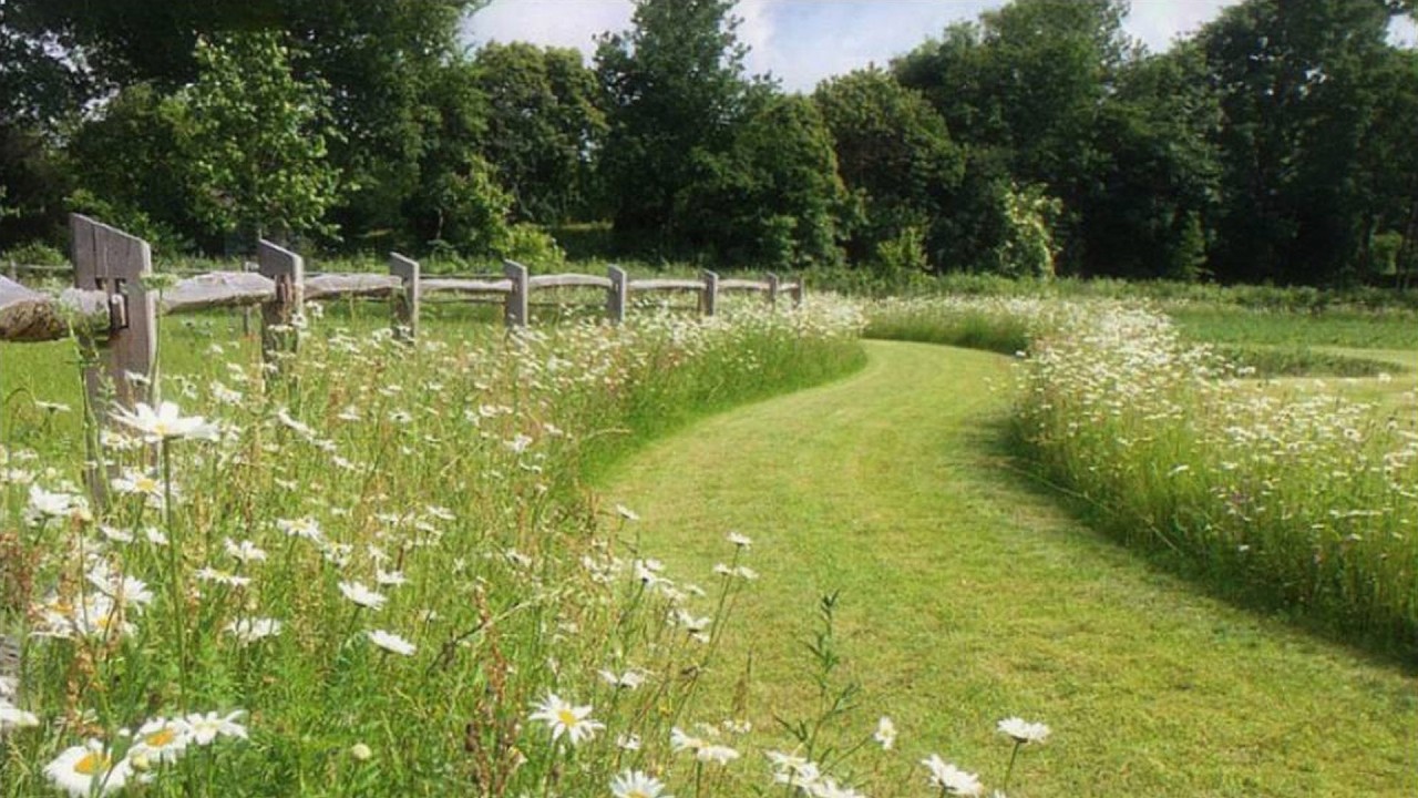 a playlist for a quiet morning 🌿 (spring version)