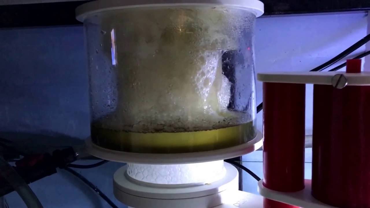 Vertex omega 200i skimmer on duty