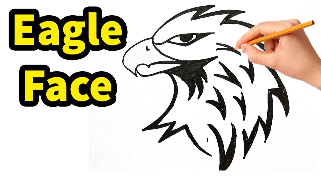 How To Draw An Eagle Face Step By Step Drawing Easy For Beginners Pencil Drawing Of Eagle Face 