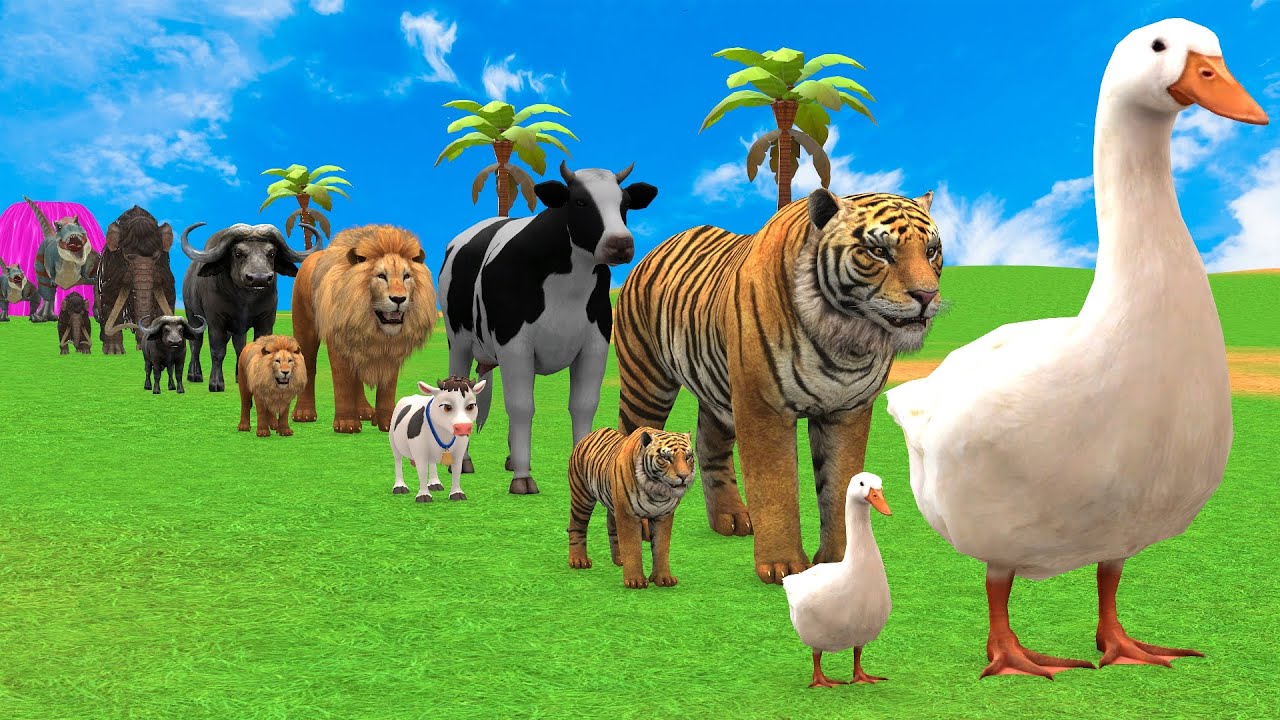 Long Slide Game with Cow Elephant Gorilla Hippopotamus Tiger 3d Animal Game Funny 3d Animals