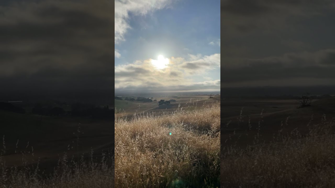 Crane Creek Rohnert Park California