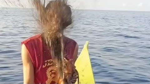 Tổng hợp những video hài hước cười đau bụng,cười ra nước mắt : Phần 2 #hai #funny #videohaihuoc