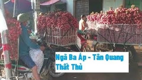 Giá Vải Thiều Lục Ngạn Ngã Ba Áp, Thất Thủ Ngay Đầu Buổi Sáng