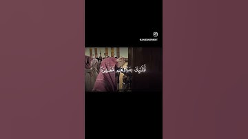 والذين إذا فعلوا فاحشة أو ظلموا أنفسهم ذكروا الله فاستغفروا لذنوبهم - سورة ال عمران - محمد اللحيدان
