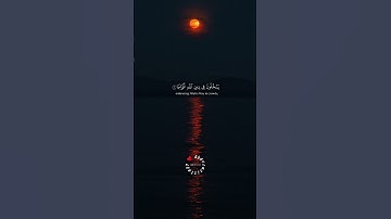 سورة النصر || الشيخ ماهر المعيقلي