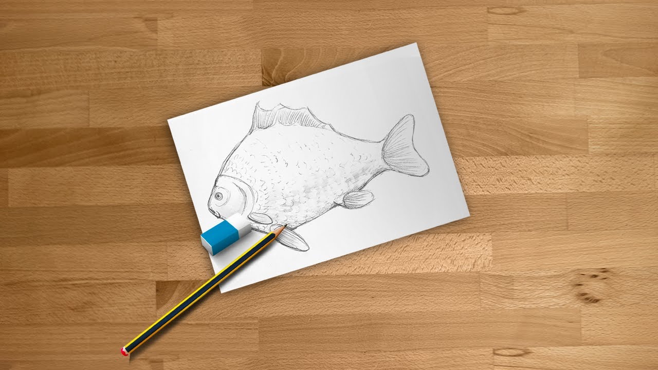 How to Draw a Fish - 17 Step by Step Tutorials for Your Bujo