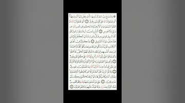 القران الكريم| القارئ ياسر الدوسري صفحة 17 سورة البقرة