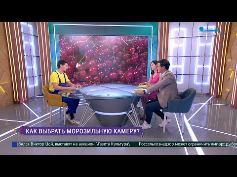 Как выбрать подходящую морозильную камеру
