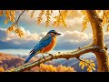 🌟 प्यासी चिड़िया और सुनहरी पहाड़ियाँ 🌄