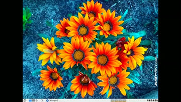 Detailed Review of PeKWM