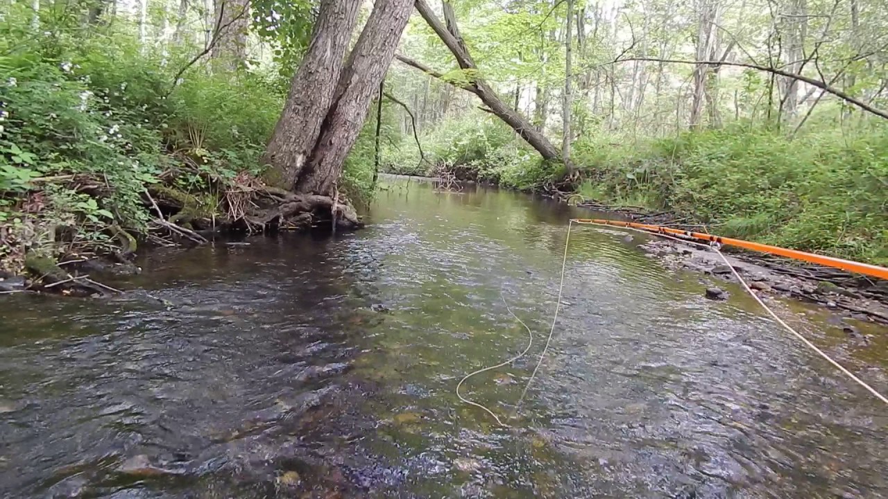 Small stream fly fishing...Catskill dry flies YouTube