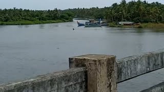 കൂട്ടായി പാലത്തിൽ നിന്നുള്ള മനോഹര കാഴ്ചകൾ kuttayi regulator bridge #bharathapuzha #riverbeforesea ️