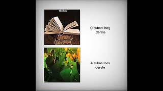 C Şubesiyle A Şubenin Farkı