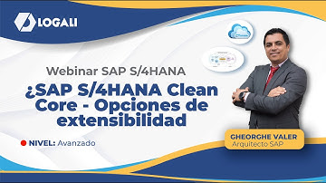SAP S/4HANA Clean Core - Opciones de extensibilidad