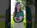 Is Your Lawn Begging for an Aeration?