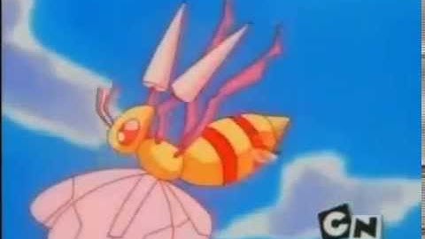 Ash capturando um Beedrill