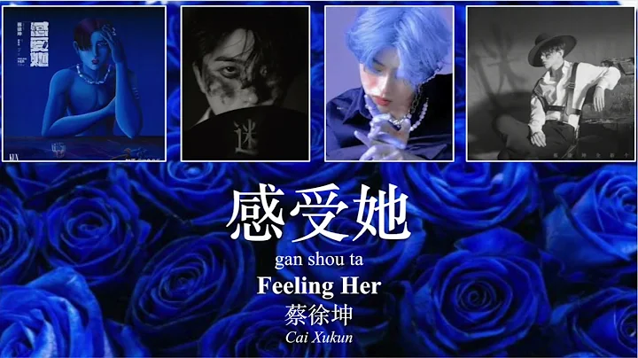 [ENG Sub + Pinyin]《感受她》Feeling Her (蔡徐坤《迷》專輯 Cai Xukun "Unknown" Album) Lyrics Video 歌詞 - 天天要聞