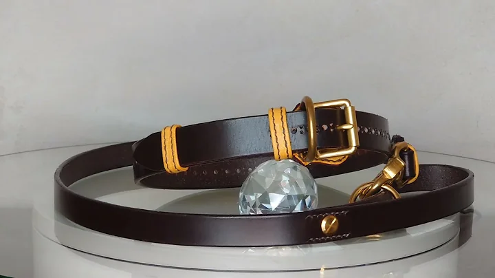Edwin Bell Custom Dog Collar & Lead Set