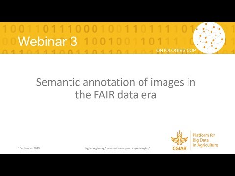 Webinar: Semantic annotation