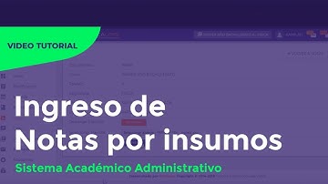 ingreso de notas por insumos