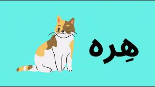 ١٠ عشر كلمات تبدأ بحرف هَـ هِـ هُـ  | تعلم قراءة الكلمات و حرف هـ  | هـ learn the letter