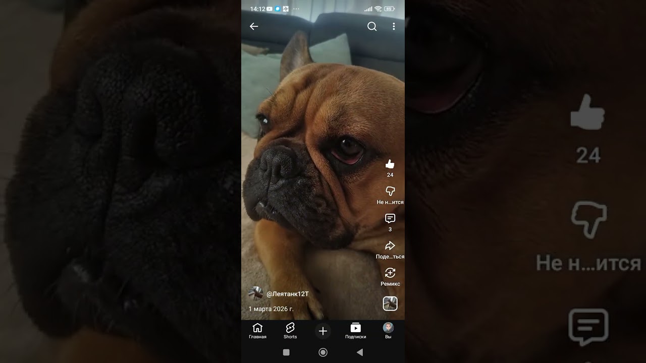 Обзор на канал Лея танк 12Т