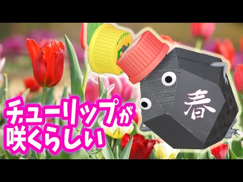 Pikmin Bloom チューリップが咲いたらしいけどエキスないのでピクミンに怒られた…「ピクミン ブルーム」ピクミンGO!