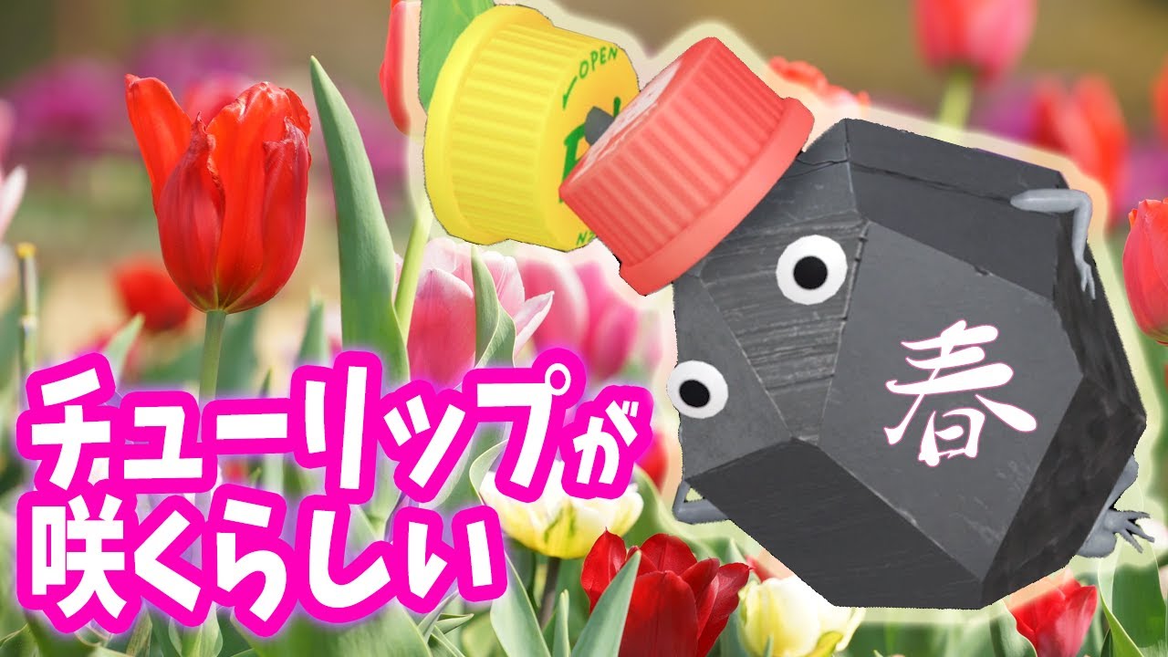 Pikmin Bloom チューリップが咲いたらしいけどエキスないのでピクミンに怒られた…「ピクミン ブルーム」ピクミンGO！