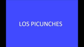 Video thumbnail of "Los Picunches - Querido Amor"