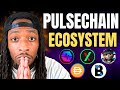 Pulsechain massive opportunity here