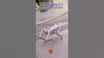 Unitree Go2 Voice GPT Robot Dog Electronic Dog I